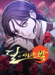 manga_4905_image