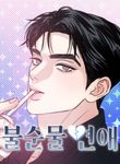 manga_5211_image